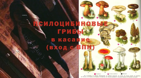 марихуана Магадан