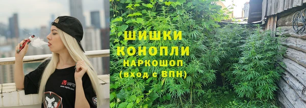 тгк Майский
