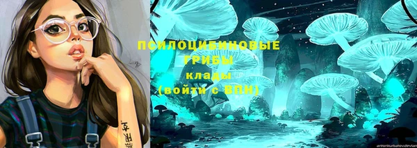 герыч Магас