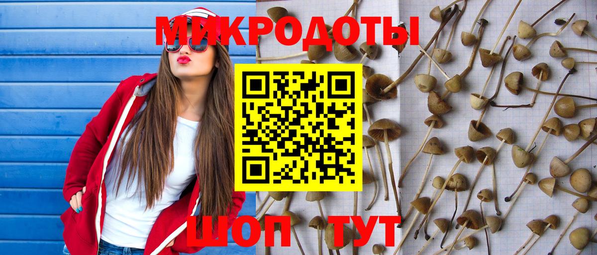 Псилоцибиновые грибы прущие грибы Черняховск