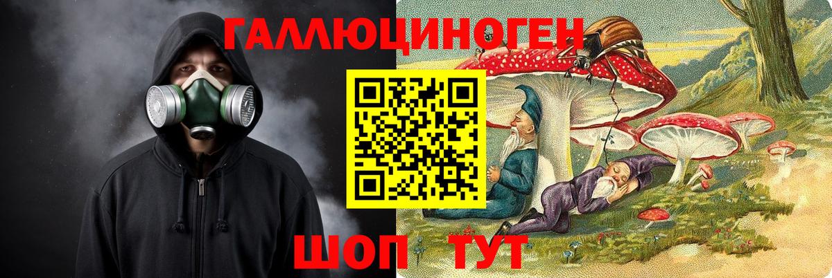 Псилоцибиновые грибы мицелий  магазин  наркотиков  Черняховск 