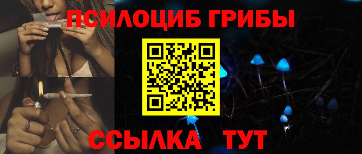 Галлюциногенные грибы Magic Shrooms Черняховск